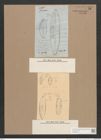 Navicula yarrensis Grun. (de-Toni-Nr.: Genus 1, Species 21) Zeichnungen Sammlung Grunow Nr. 56 (NHMW-BOT-W0366248)